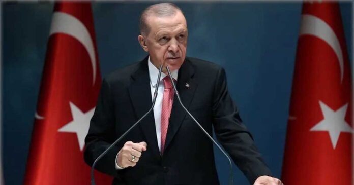 Erdogan hinted at a general election