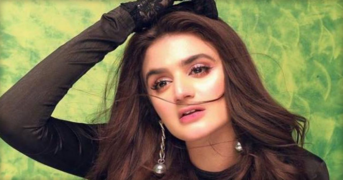 Hira Mani's video released