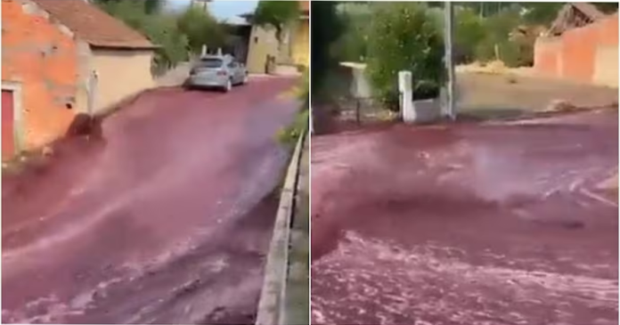 Portuguese river of red wine