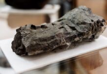 Undergraduate Unlocks Ancient Secrets: AI Deciphers 2,000-Year-Old Scroll AI Deciphers Ancient Scroll
