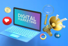 Sindh introduce Digital Marketing Diploma