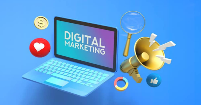 Sindh introduce Digital Marketing Diploma