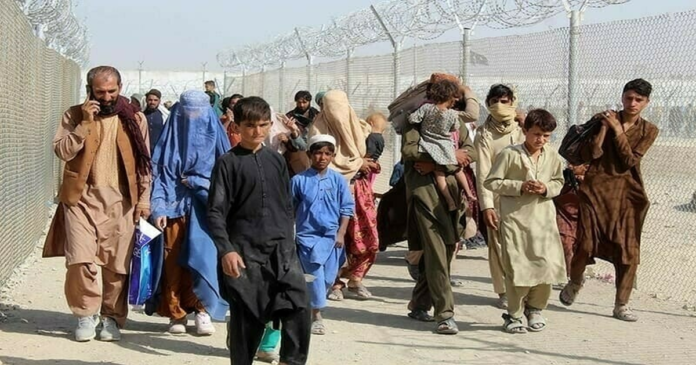 ‘Afghan migrants registered in Pakistan